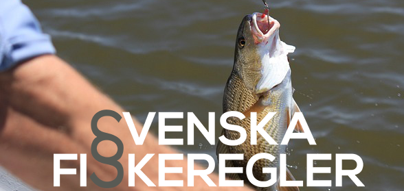 En fisk blir uppfiskad med en fiskekrok, i förgrunden är logotypen för Svenska fiskeregler